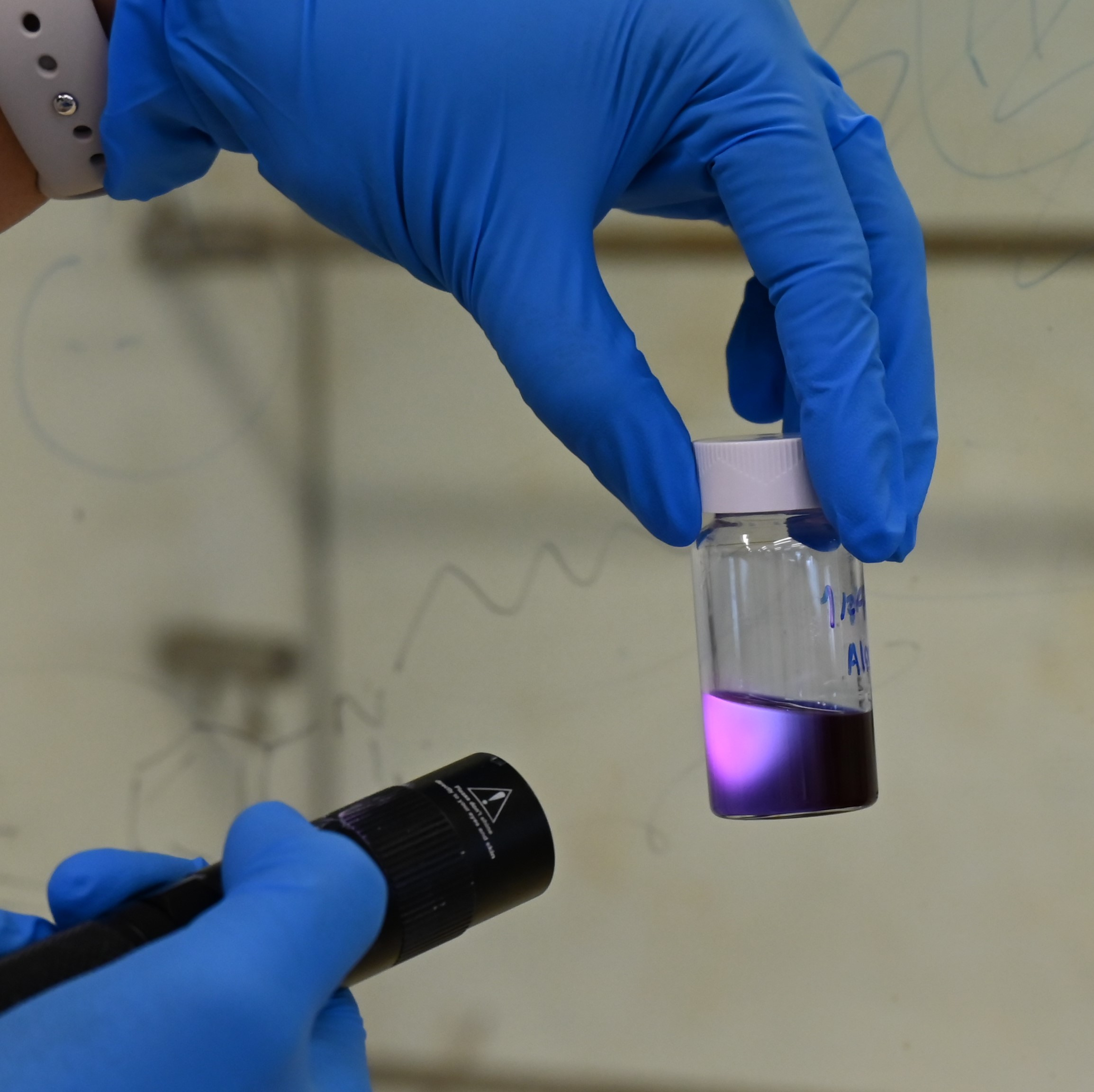 Purple Polymers
